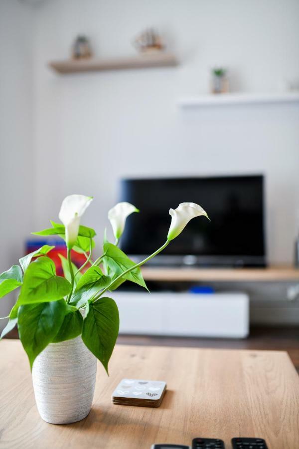 Apartment Serenity